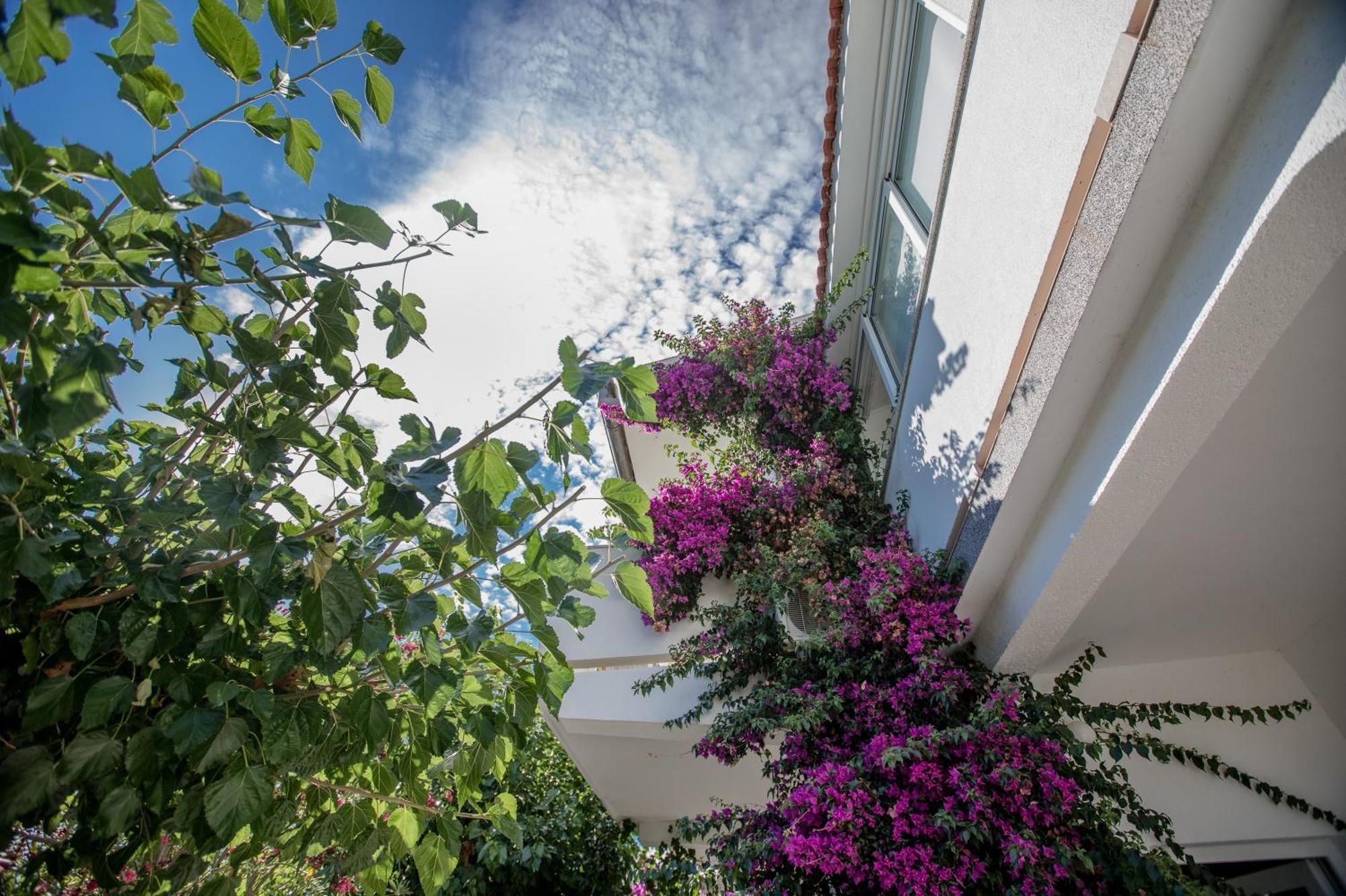 Apartman Rosa Supetarska Draga Exterior foto